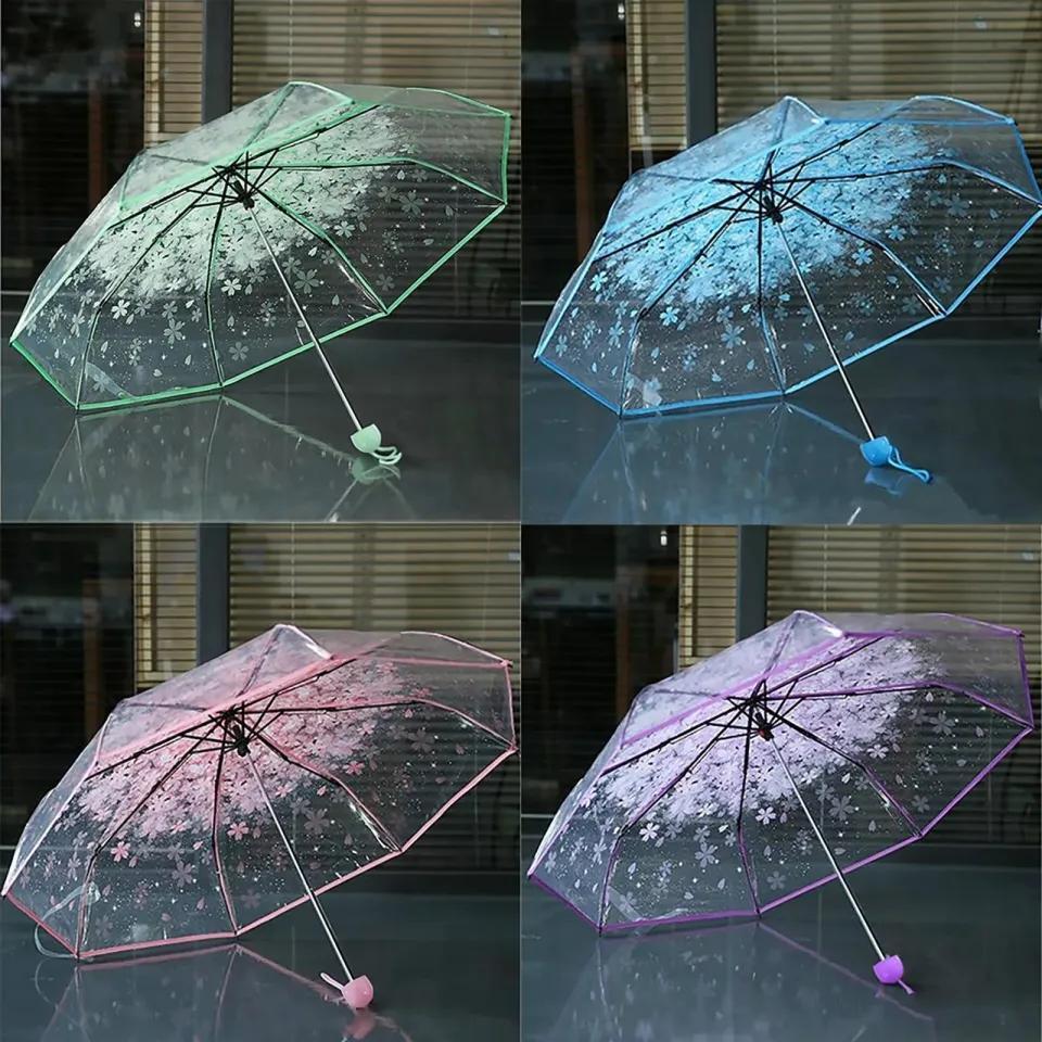 Transparent Umbrella 