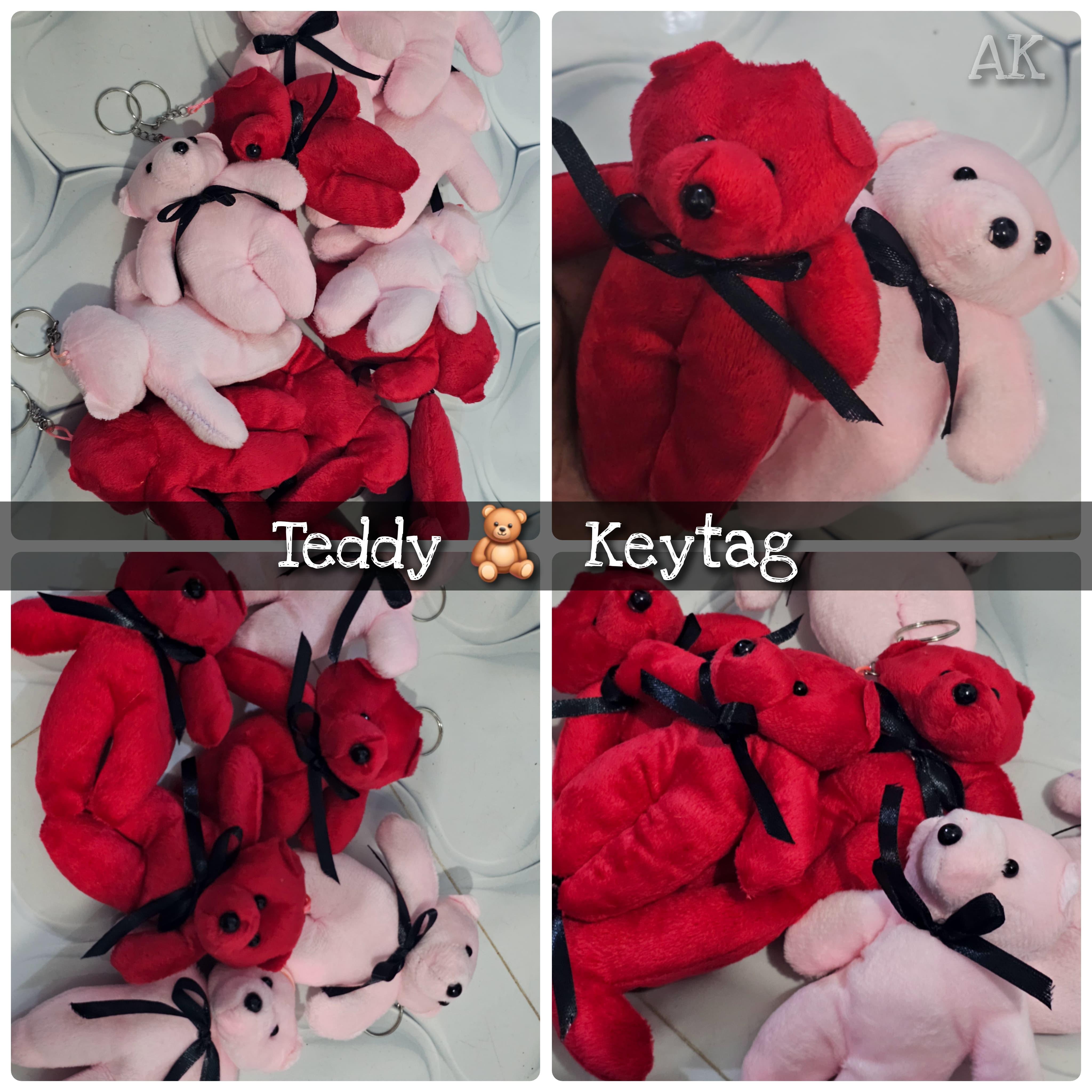 (MNR) Teddy 🧸 Keytag  