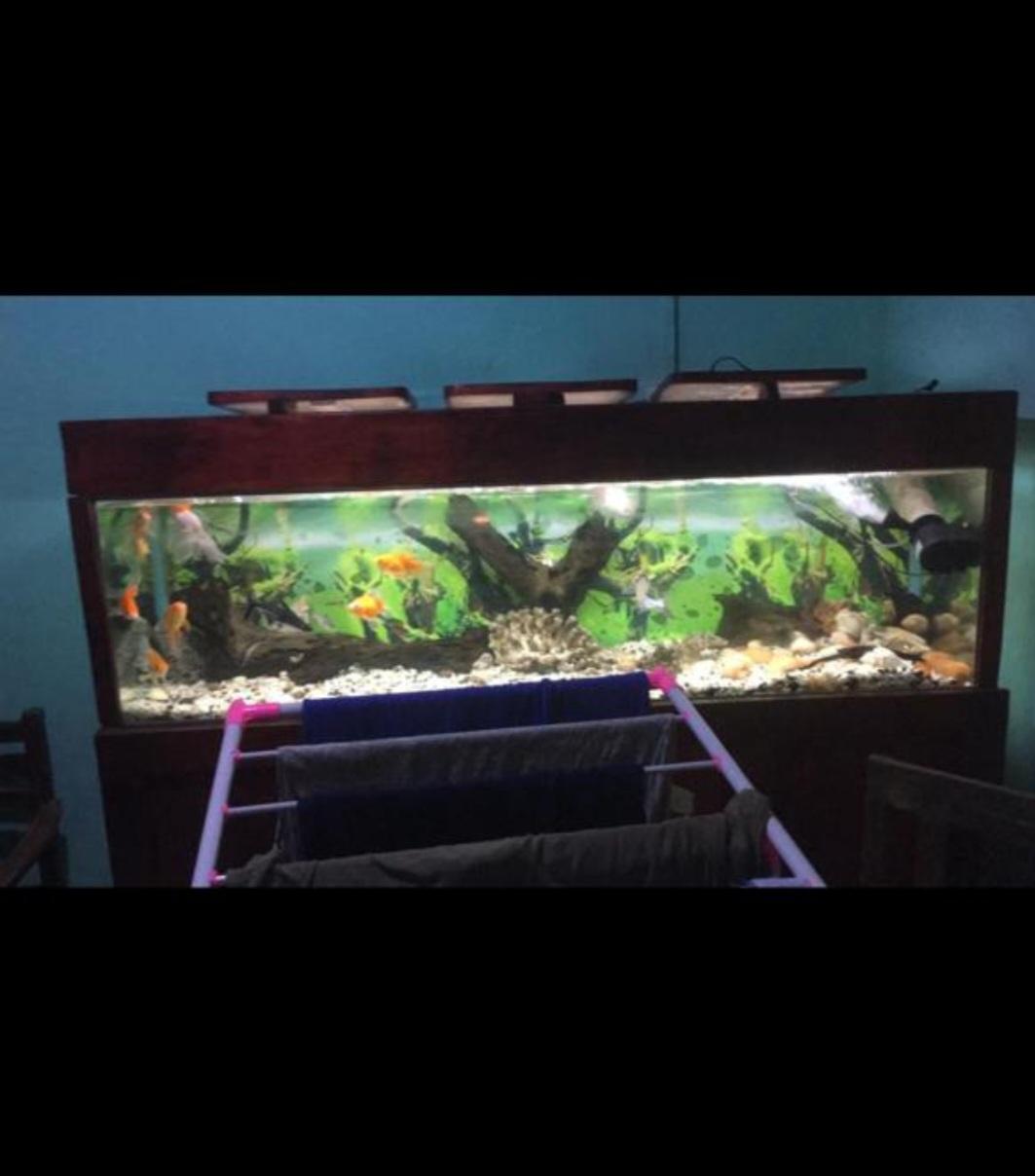Fish tank with cupboard 